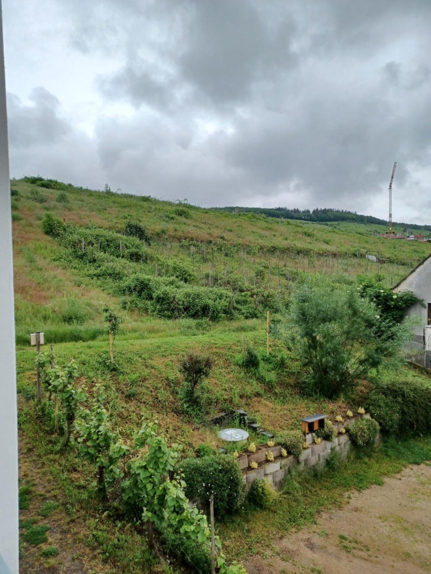 Gaestehaus Bausch แมร์ริง ภายนอก รูปภาพ